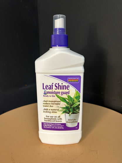 Leaf Shine