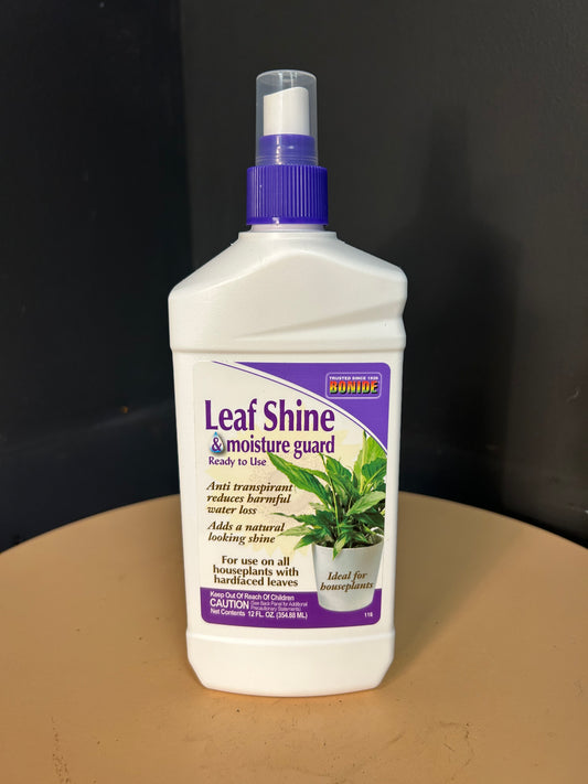 Leaf Shine